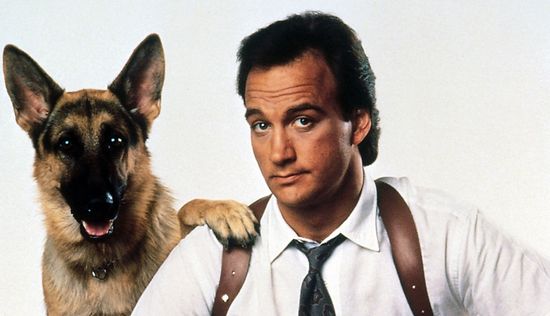 K-9