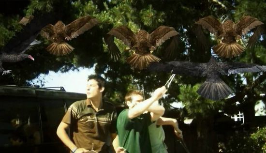 Birdemic