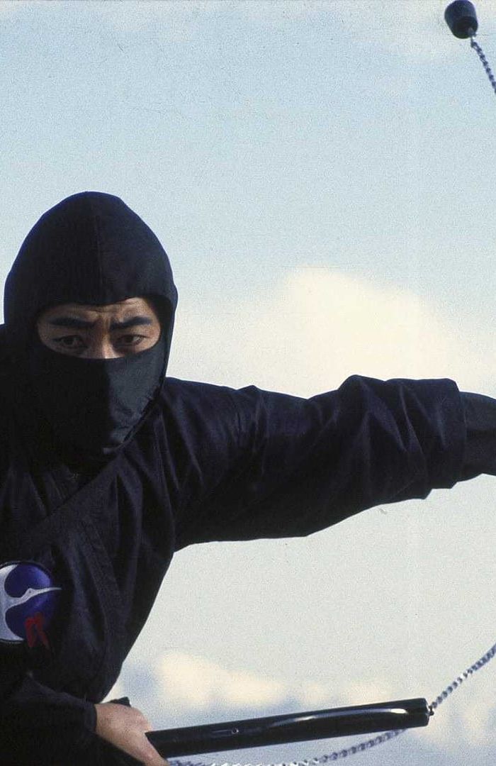 The Ninja Trilogy background