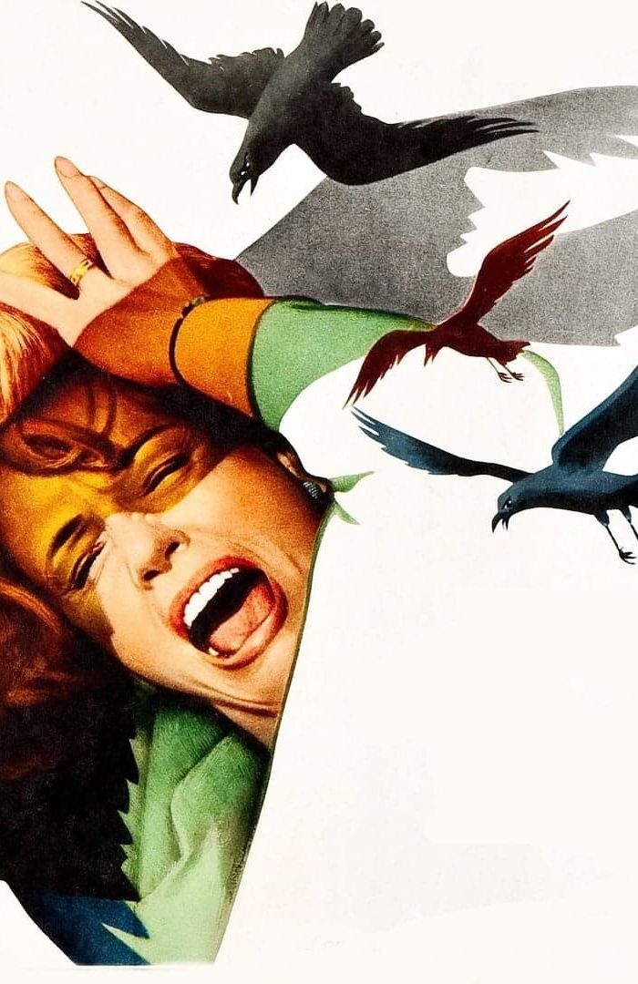 The Birds background