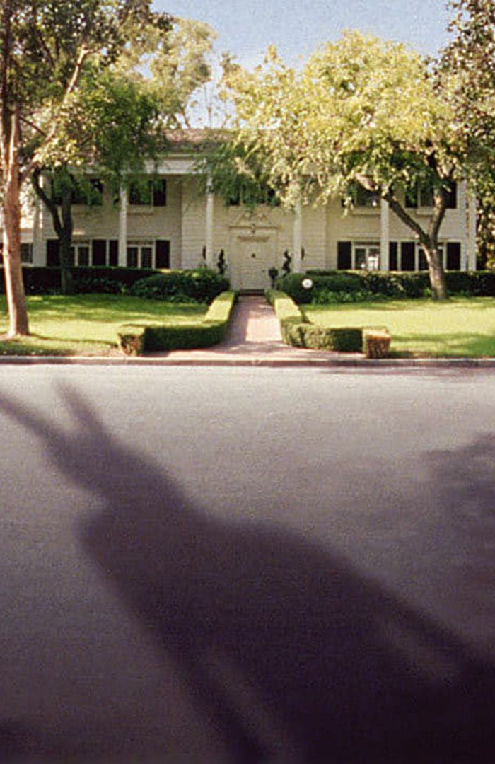 Darko background