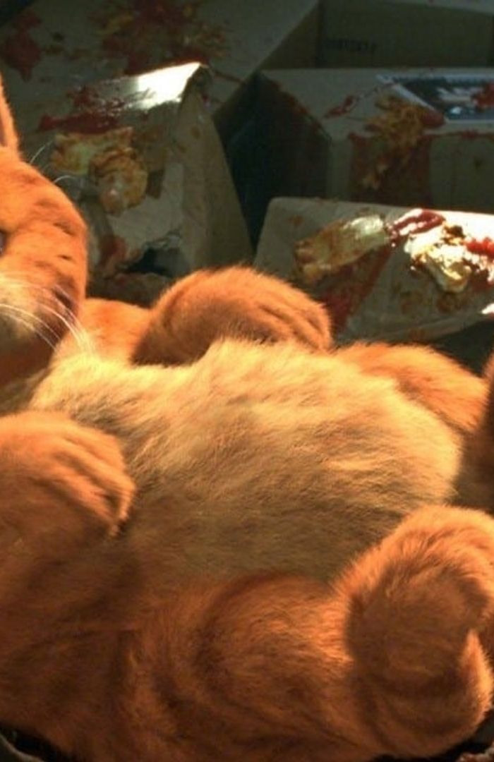 Garfield background