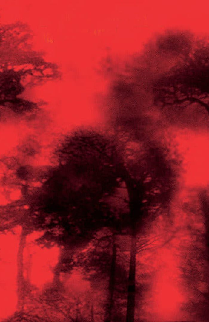 Cabin Fever background