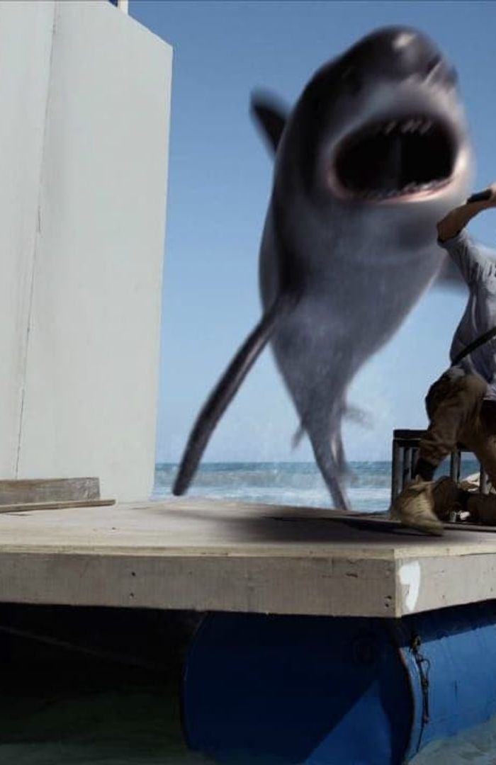 The Sharks background