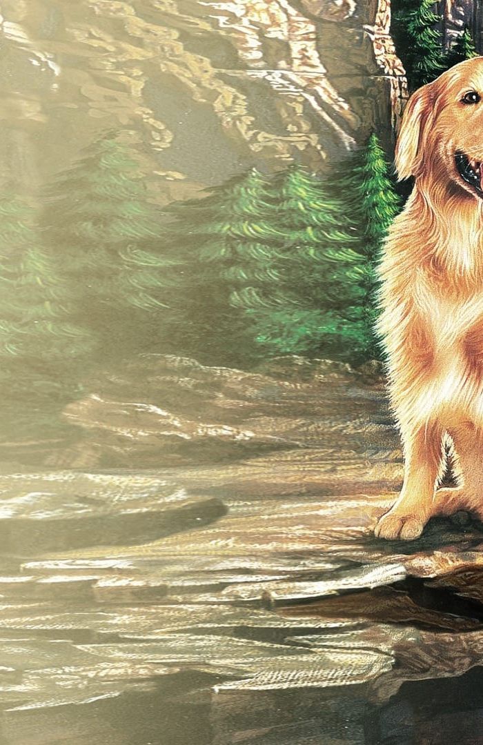 Homeward Bound background
