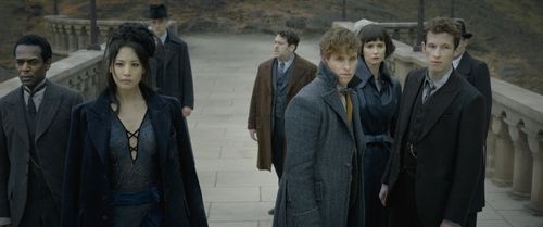 Dan Fogler, William Nadylam, Eddie Redmayne, Katherine Waterston, Claudia Kim, and Callum Turner in Fantastic Beasts: Th