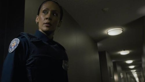 Sergeant Pillar in The Burglar.