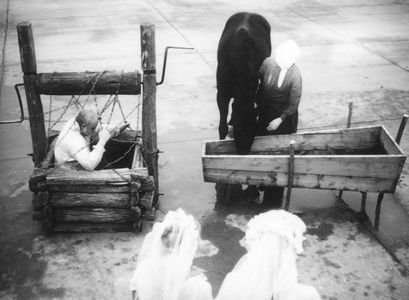 Dmitri Milyutenko in Krynytsya dlya sprahlykh (1965)