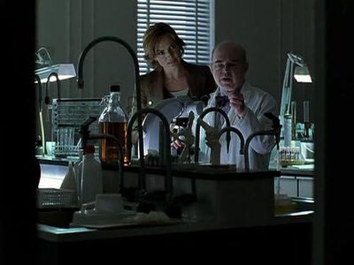 Mariska Hargitay in Plain Truth (2004)