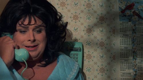 Divine in Polyester (1981)