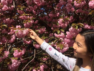 Raina Cheng