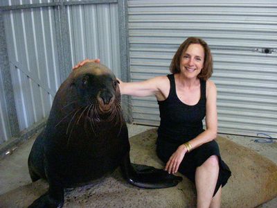 The set of NIM’S ISLAND. 2007. Selkie, Paula Mazur.