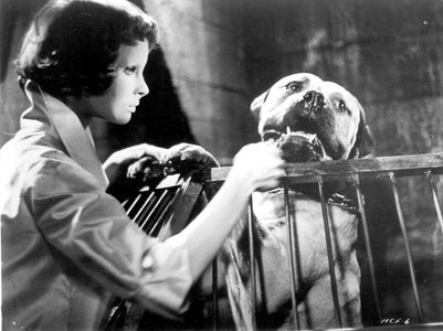 Edith Scob in Eyes Without a Face (1960)