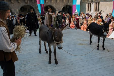 Attila Bocsárszky, Ondrej Hraska, and Dominika Zeleníková in Johancino tajemství (2015)