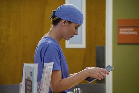 Tessa Ferrer in Grey's Anatomy (2005)