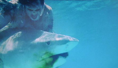 Ramón Bravo in Zombie (1979)
