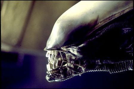 Bolaji Badejo and Percy Edwards in Alien (1979)