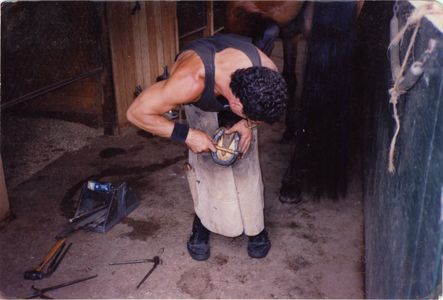David Copeland shoeing Dusty Darling before a location shoot for As The World Turns.