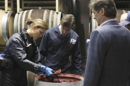 Emily Deschanel, Jeff Yagher, and David Greenman in Bones (2005)
