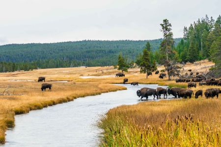 Wyoming by Mike Lavin