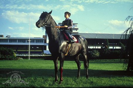 Kelly Reno and Cass-Olé in The Black Stallion (1979)