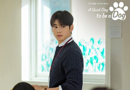 Cha Eun-Woo in A Good Day to be a Dog (2023)