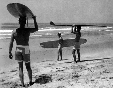 Robert August and Michael Hynson in The Endless Summer (1965)