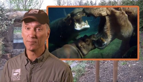 Thane Maynard in Saving Fiona (2018)