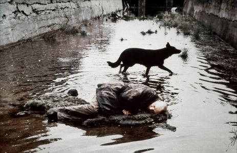 Aleksandr Kaydanovskiy in Stalker (1979)