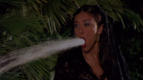 Idalis DeLeon in The Invisible Man (2000)