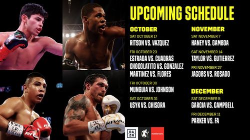 Jaime Munguía, Devin Haney, Ryan Garcia, and Oleksandr Usyk in DAZN Boxing (2015)