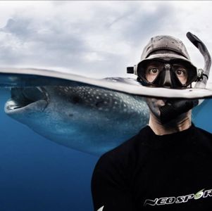 Shawn Heinrichs
