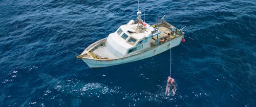 Matthew Modine, Yani Gellman, Mandy Moore, Claire Holt, and Santiago Segura in 47 Meters Down (2017)