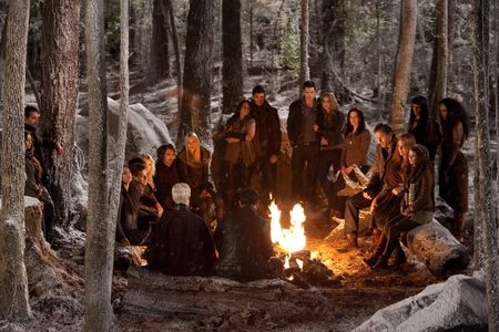 Christian Camargo, Noel Fisher, Mía Maestro, Elizabeth Reaser, Judith Shekoni, Guri Weinberg, Lee Pace, Taylor Lautner, 