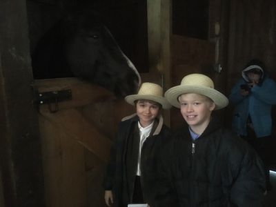 An Amish Abduction