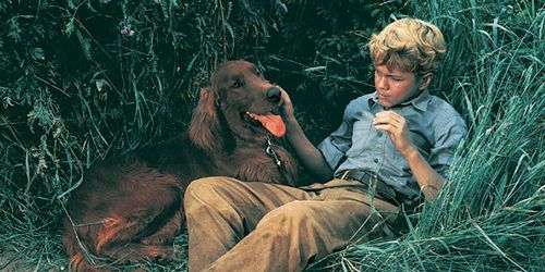 Gilles Payant in Big Red (1962)