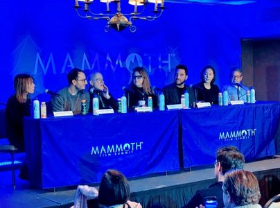Markus Bishop-Hill speaks at the Mammoth Film Festival's Film Summit Panel alongside two-time Academy Award nominee Dant