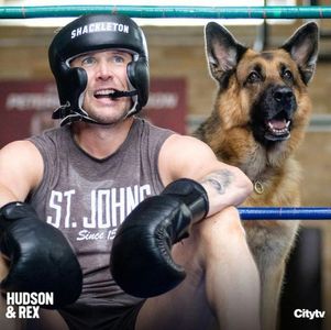 Diesel vom Burgimwald and John Reardon in Hudson & Rex (2019)