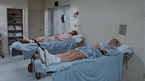 Rebekka Armstrong and Cynthia Chase in The Immortalizer (1989)