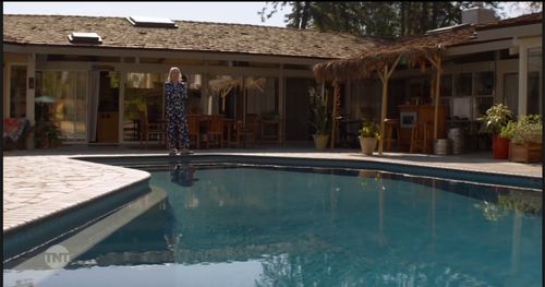 Ellen Barkin in Animal Kingdom (2016)
