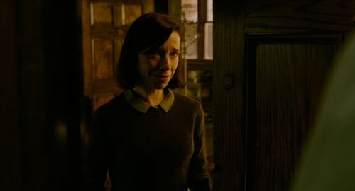 Sally Hawkins in The Shape of Water (2017)