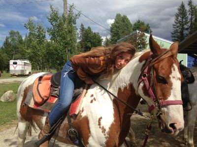 Horses