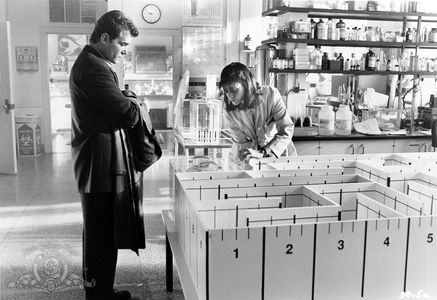 Linda Fiorentino and Ray Liotta in Unforgettable (1996)