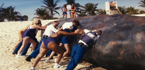 Carlos Alazraqui, Robert Ben Garant, Kerri Kenney, Thomas Lennon, Niecy Nash, and Wendi McLendon-Covey in Reno 911!: Mia