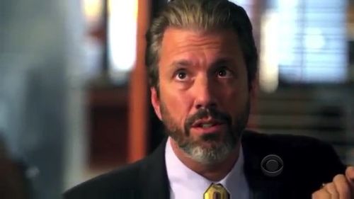 Hawaii Five-0 S117 