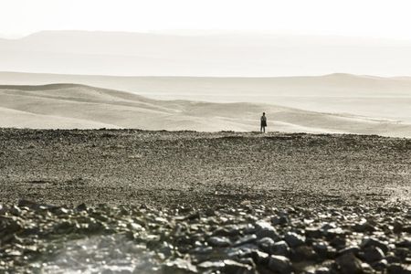 Tom Taylor in The Dark Tower (2017)