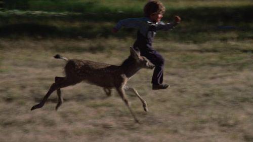 Ham Larsen in The Adventures of the Wilderness Family (1975)