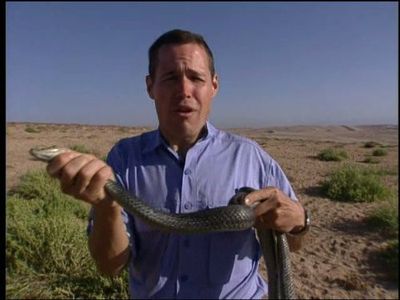Jeff Corwin in The Jeff Corwin Experience (2001)