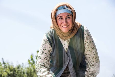Setareh Eskandari
