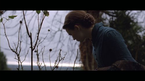Mia Wasikowska - Madame Bovary